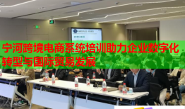 寧河跨境電商系統(tǒng)培訓助力企業(yè)數字化轉型與國際貿易發(fā)展