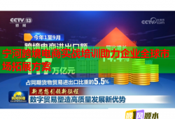 寧河跨境電商實戰(zhàn)培訓助力企業(yè)全球市場拓展方案