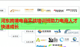 河?xùn)|跨境電商實(shí)戰(zhàn)培訓(xùn)班助力電商人才快速成長