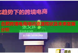 合肥跨境電商培訓(xùn)資源現(xiàn)狀及未來發(fā)展分析