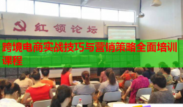 跨境電商實(shí)戰(zhàn)技巧與營(yíng)銷策略全面培訓(xùn)課程