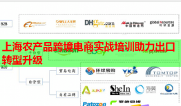 上海農(nóng)產(chǎn)品跨境電商實(shí)戰(zhàn)培訓(xùn)助力出口轉(zhuǎn)型升級