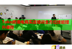 Toko跨境電商實戰(zhàn)培訓全方位技能提升課程