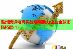 溫州跨境電商實戰(zhàn)培訓助力企業(yè)全球市場拓展(1)