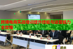 跨境電商實(shí)戰(zhàn)培訓(xùn)提升技能與運(yùn)營(yíng)能力全攻略