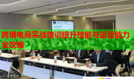 跨境電商實(shí)戰(zhàn)培訓(xùn)提升技能與運(yùn)營(yíng)能力全攻略