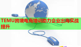 TEMU跨境電商培訓(xùn)助力企業(yè)出海實(shí)戰(zhàn)提升
