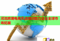 河池跨境電商實(shí)戰(zhàn)培訓(xùn)助力企業(yè)全球市場(chǎng)拓展