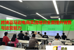 跨境亞馬遜電商實(shí)戰(zhàn)培訓(xùn)全面提升銷售與運(yùn)營能力
