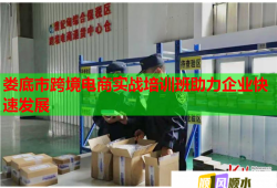 婁底市跨境電商實(shí)戰(zhàn)培訓(xùn)班助力企業(yè)快速發(fā)展