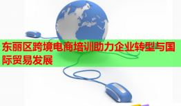 東麗區(qū)跨境電商培訓(xùn)助力企業(yè)轉(zhuǎn)型與國(guó)際貿(mào)易發(fā)展