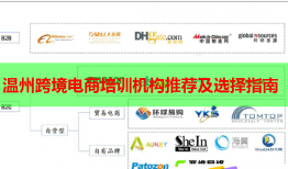 溫州跨境電商培訓(xùn)機構(gòu)推薦及選擇指南