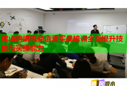 佛山跨境電商運(yùn)營(yíng)實(shí)戰(zhàn)培訓(xùn)全面提升技能與實(shí)操能力