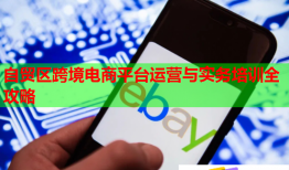 自貿(mào)區(qū)跨境電商平臺(tái)運(yùn)營(yíng)與實(shí)務(wù)培訓(xùn)全攻略