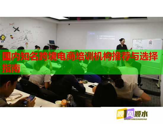 國內(nèi)知名跨境電商培訓機構推薦與選擇指南