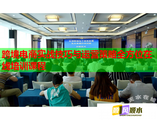 跨境電商實戰(zhàn)技巧與運營策略全方位在線培訓(xùn)課程