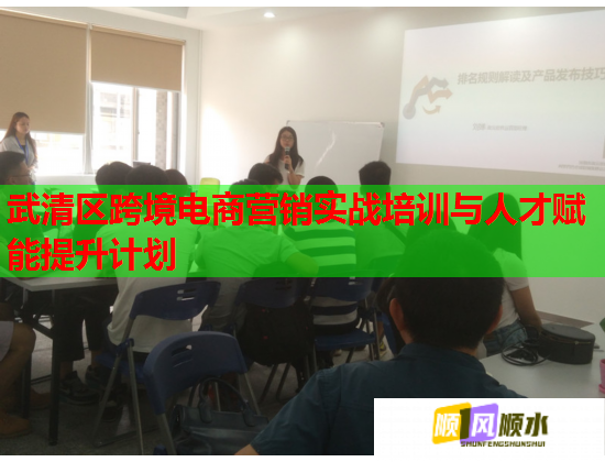 武清區(qū)跨境電商營銷實戰(zhàn)培訓(xùn)與人才賦能提升計劃