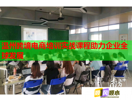 溫州跨境電商培訓(xùn)實(shí)戰(zhàn)課程助力企業(yè)全球發(fā)展