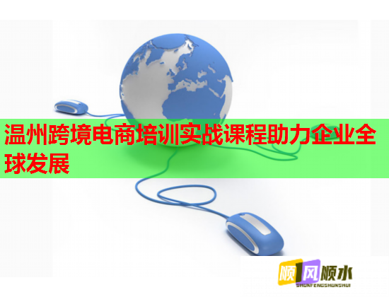 溫州跨境電商培訓(xùn)實(shí)戰(zhàn)課程助力企業(yè)全球發(fā)展