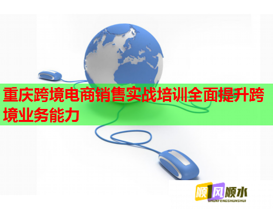 重慶跨境電商銷售實(shí)戰(zhàn)培訓(xùn)全面提升跨境業(yè)務(wù)能力