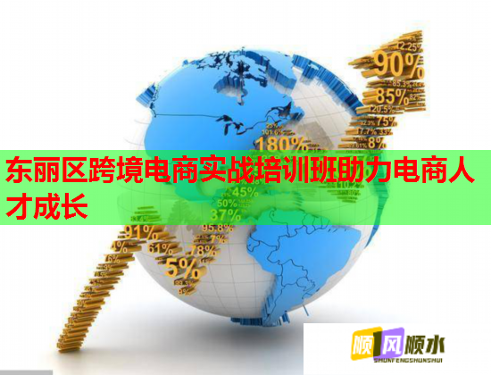 東麗區(qū)跨境電商實戰(zhàn)培訓班助力電商人才成長
