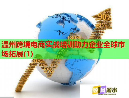 溫州跨境電商實戰(zhàn)培訓助力企業(yè)全球市場拓展(1)
