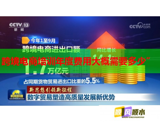 跨境電商培訓年度費用大概需要多少”
