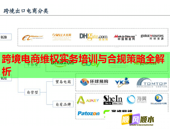 跨境電商維權(quán)實務(wù)培訓(xùn)與合規(guī)策略全解析