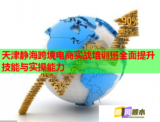 天津靜海跨境電商實(shí)戰(zhàn)培訓(xùn)班全面提升技能與實(shí)操能力