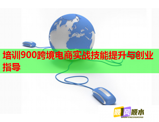 培訓(xùn)900跨境電商實(shí)戰(zhàn)技能提升與創(chuàng)業(yè)指導(dǎo)