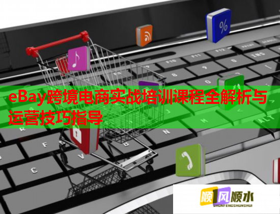 eBay跨境電商實(shí)戰(zhàn)培訓(xùn)課程全解析與運(yùn)營技巧指導(dǎo)