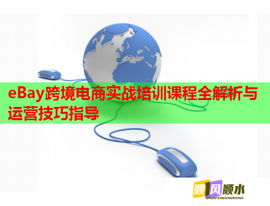 eBay跨境電商實(shí)戰(zhàn)培訓(xùn)課程全解析與運(yùn)營技巧指導(dǎo)