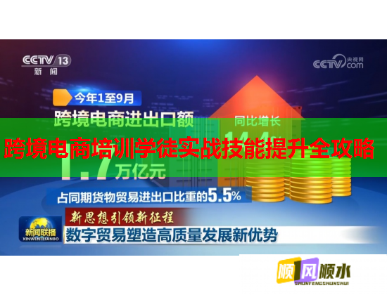 跨境電商培訓(xùn)學(xué)徒實(shí)戰(zhàn)技能提升全攻略