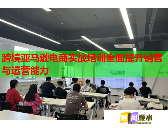 跨境亞馬遜電商實(shí)戰(zhàn)培訓(xùn)全面提升銷售與運(yùn)營能力