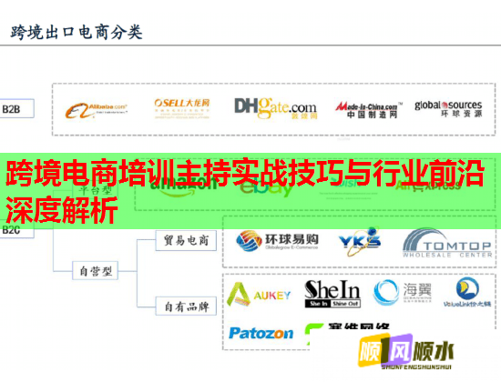 跨境電商培訓主持實戰(zhàn)技巧與行業(yè)前沿深度解析