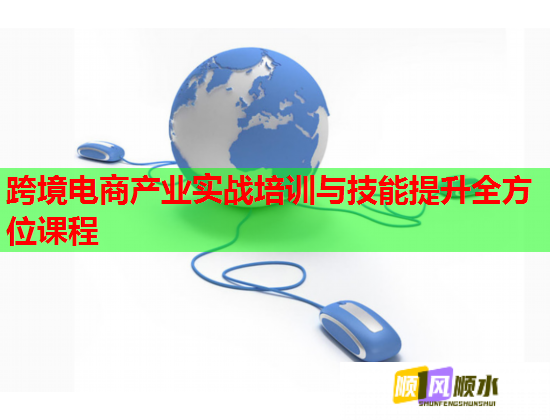 跨境電商產(chǎn)業(yè)實(shí)戰(zhàn)培訓(xùn)與技能提升全方位課程