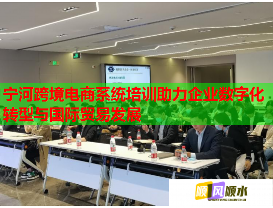 寧河跨境電商系統(tǒng)培訓(xùn)助力企業(yè)數(shù)字化轉(zhuǎn)型與國(guó)際貿(mào)易發(fā)展