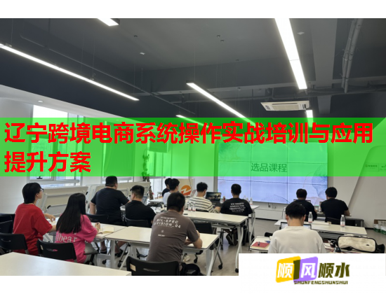 遼寧跨境電商系統(tǒng)操作實戰(zhàn)培訓(xùn)與應(yīng)用提升方案