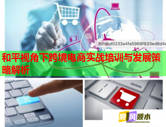 和平視角下跨境電商實戰(zhàn)培訓(xùn)與發(fā)展策略解析
