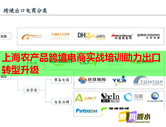 上海農產品跨境電商實戰(zhàn)培訓助力出口轉型升級