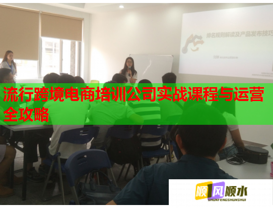 流行跨境電商培訓(xùn)公司實(shí)戰(zhàn)課程與運(yùn)營(yíng)全攻略