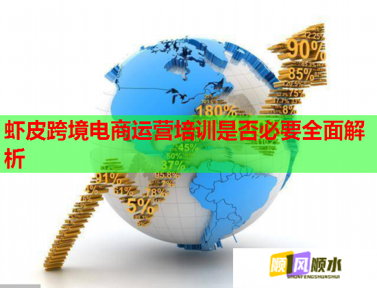 蝦皮跨境電商運(yùn)營培訓(xùn)是否必要全面解析