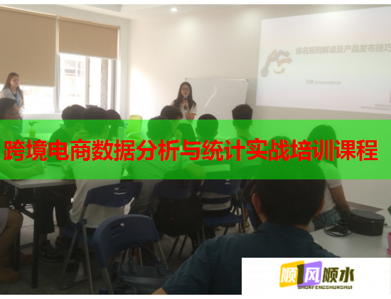 跨境電商數(shù)據(jù)分析與統(tǒng)計實戰(zhàn)培訓(xùn)課程